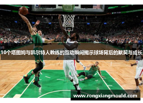 10个塔图姆与凯尔特人教练的互动瞬间揭示球场背后的默契与成长