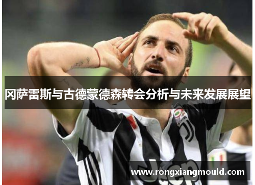冈萨雷斯与古德蒙德森转会分析与未来发展展望