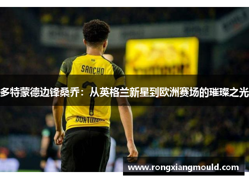 多特蒙德边锋桑乔：从英格兰新星到欧洲赛场的璀璨之光