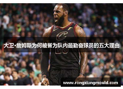 大卫·詹姆斯为何被誉为队内最勤奋球员的五大理由