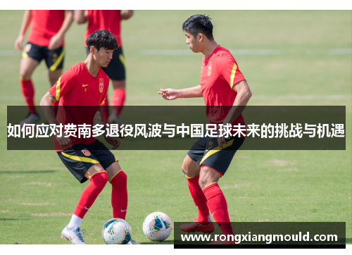 如何应对费南多退役风波与中国足球未来的挑战与机遇