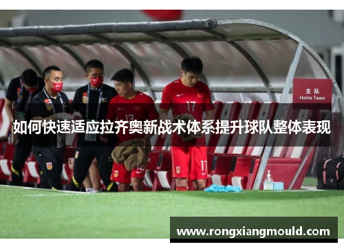 如何快速适应拉齐奥新战术体系提升球队整体表现